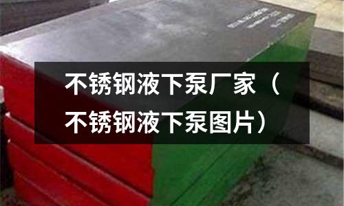 不銹鋼液下泵廠家(不銹鋼液下泵圖片)