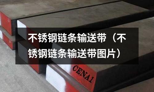 不銹鋼鏈條輸送帶(不銹鋼鏈條輸送帶圖片)