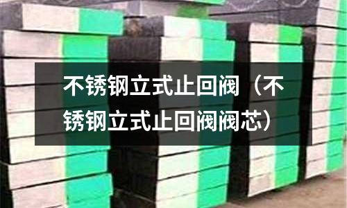 不銹鋼立式止回閥（不銹鋼立式止回閥閥芯）