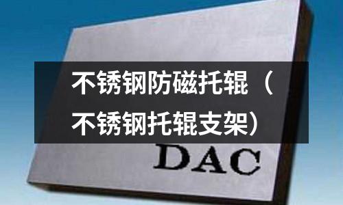 不銹鋼防磁托輥(不銹鋼托輥支架)