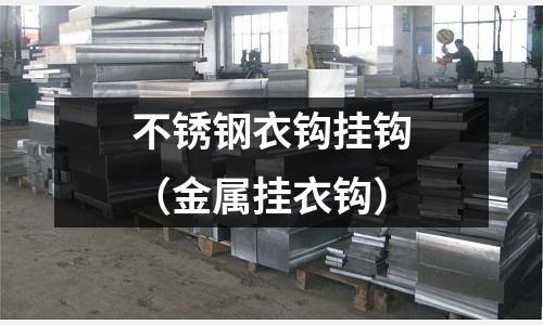 不銹鋼衣鉤掛鉤(金屬掛衣鉤)