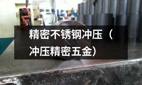 精密不銹鋼沖壓(沖壓精密五金)