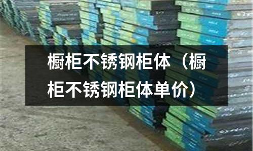 櫥柜不銹鋼柜體(櫥柜不銹鋼柜體單價(jià))