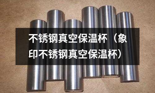 不銹鋼真空保溫杯（象印不銹鋼真空保溫杯）