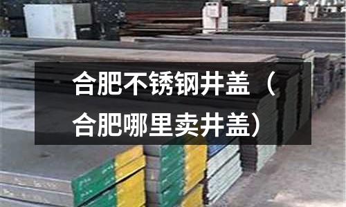 合肥不銹鋼井蓋(合肥哪里賣井蓋)