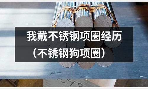 我戴不銹鋼項圈經歷(不銹鋼狗項圈)