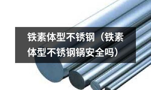 鐵素體型不銹鋼(鐵素體型不銹鋼鍋安全嗎)