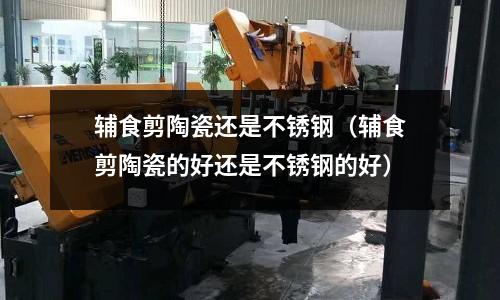 輔食剪陶瓷還是不銹鋼（輔食剪陶瓷的好還是不銹鋼的好）