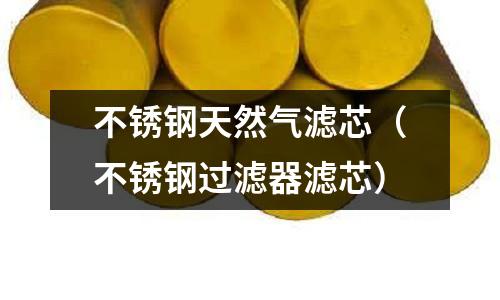 不銹鋼天然氣濾芯(不銹鋼過濾器濾芯)