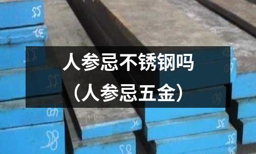 人參忌不銹鋼嗎(人參忌五金)