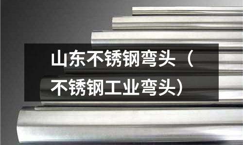 山東不銹鋼彎頭（不銹鋼工業彎頭）