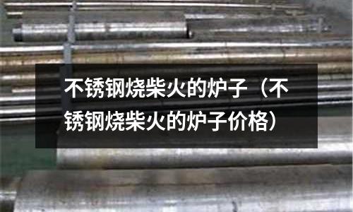 不銹鋼燒柴火的爐子(不銹鋼燒柴火的爐子價格)