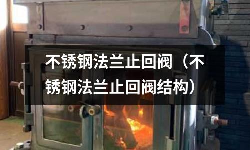 不銹鋼法蘭止回閥(不銹鋼法蘭止回閥結構)