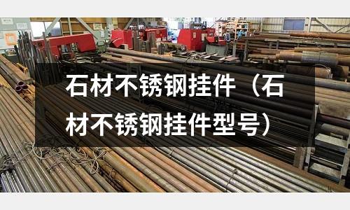 石材不銹鋼掛件(石材不銹鋼掛件型號)