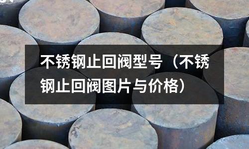 不銹鋼止回閥型號(不銹鋼止回閥圖片與價格)