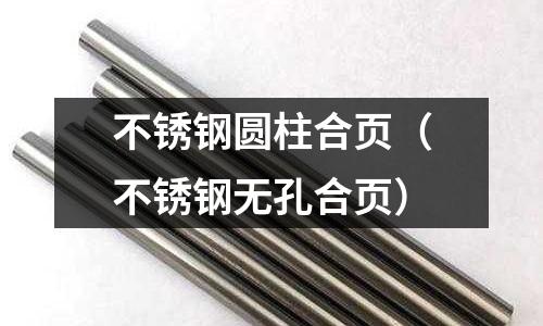 不銹鋼圓柱合頁(yè)(不銹鋼無(wú)孔合頁(yè))