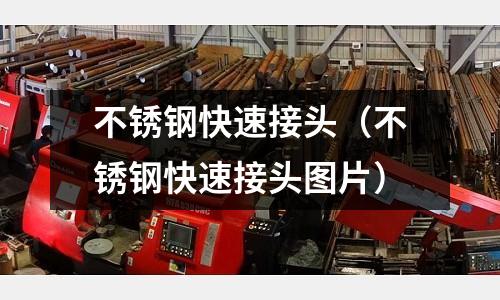 不銹鋼快速接頭（不銹鋼快速接頭圖片）