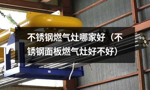 不銹鋼燃氣灶哪家好(不銹鋼面板燃氣灶好不好)