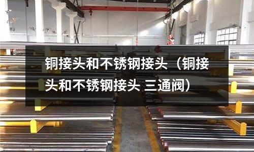 銅接頭和不銹鋼接頭（銅接頭和不銹鋼接頭 三通閥）