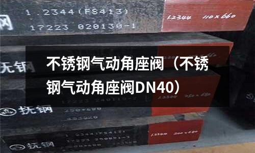 不銹鋼氣動角座閥（不銹鋼氣動角座閥DN40）