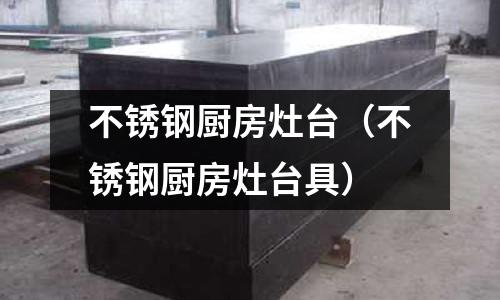 不銹鋼廚房灶臺(tái)(不銹鋼廚房灶臺(tái)具)