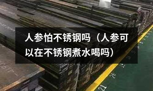 人參怕不銹鋼嗎(人參可以在不銹鋼煮水喝嗎)