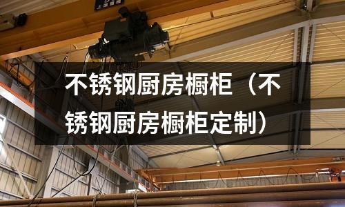 不銹鋼廚房櫥柜(不銹鋼廚房櫥柜定制)