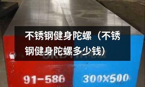 不銹鋼健身陀螺（不銹鋼健身陀螺多少錢）