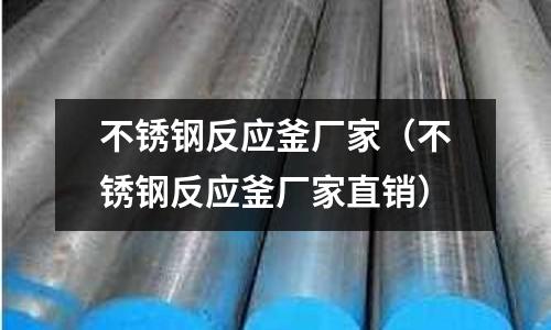 不銹鋼反應(yīng)釜廠家(不銹鋼反應(yīng)釜廠家直銷)