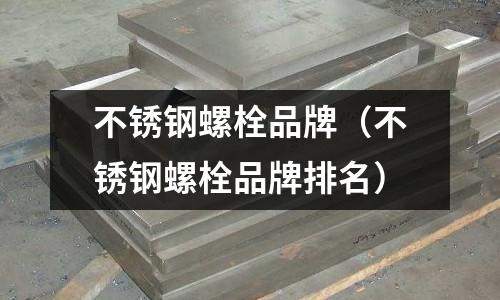 不銹鋼螺栓品牌(不銹鋼螺栓品牌排名)