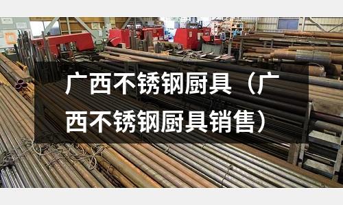 廣西不銹鋼廚具(廣西不銹鋼廚具銷售)