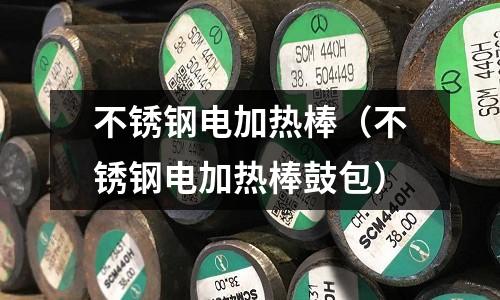 不銹鋼電加熱棒（不銹鋼電加熱棒鼓包）