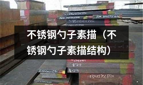 不銹鋼勺子素描(不銹鋼勺子素描結(jié)構(gòu))