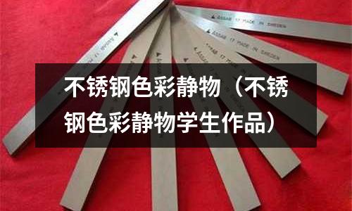 不銹鋼色彩靜物（不銹鋼色彩靜物學生作品）