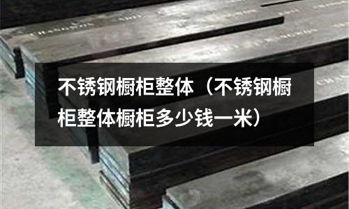 不銹鋼櫥柜整體(不銹鋼櫥柜整體櫥柜多少錢一米)