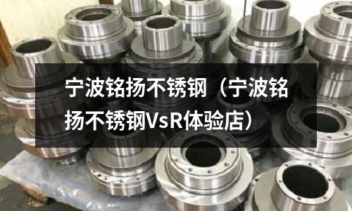 寧波銘揚不銹鋼(寧波銘揚不銹鋼VsR體驗店)
