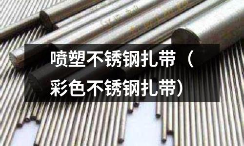 噴塑不銹鋼扎帶(彩色不銹鋼扎帶)