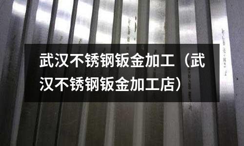武漢不銹鋼鈑金加工(武漢不銹鋼鈑金加工店)