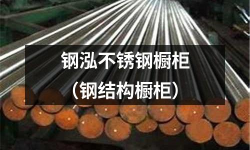 鋼泓不銹鋼櫥柜（鋼結構櫥柜）