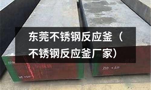 東莞不銹鋼反應釜(不銹鋼反應釜廠家)