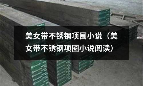 美女帶不銹鋼項圈小說（美女帶不銹鋼項圈小說閱讀）