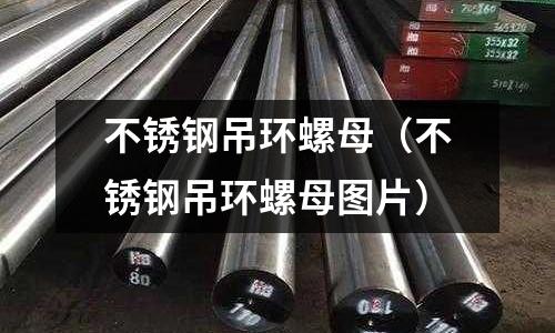 不銹鋼吊環螺母（不銹鋼吊環螺母圖片）