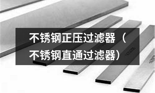 不銹鋼正壓過濾器(不銹鋼直通過濾器)