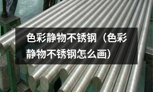 色彩靜物不銹鋼(色彩靜物不銹鋼怎么畫)