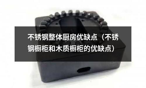 不銹鋼整體廚房優缺點（不銹鋼櫥柜和木質櫥柜的優缺點）