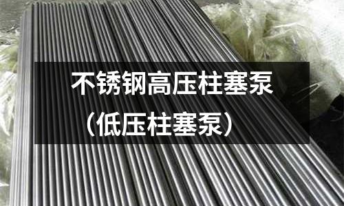 不銹鋼高壓柱塞泵(低壓柱塞泵)