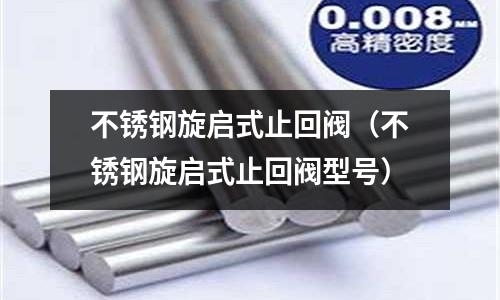 不銹鋼旋啟式止回閥(不銹鋼旋啟式止回閥型號)