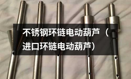 不銹鋼環鏈電動葫蘆（進口環鏈電動葫蘆）