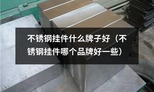 不銹鋼掛件什么牌子好(不銹鋼掛件哪個品牌好一些)