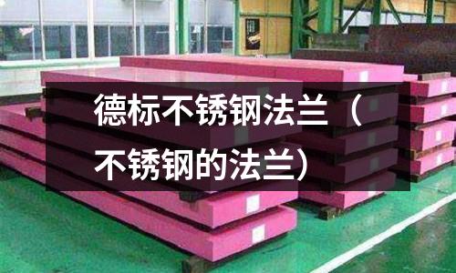 德標不銹鋼法蘭(不銹鋼的法蘭)